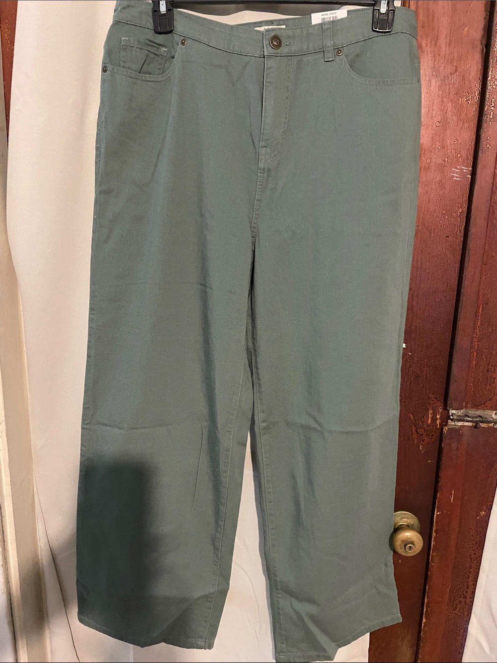 Style & Co. Wide Leg Pants in Sage Green